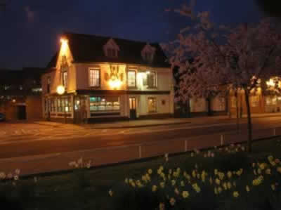 Dove by Night